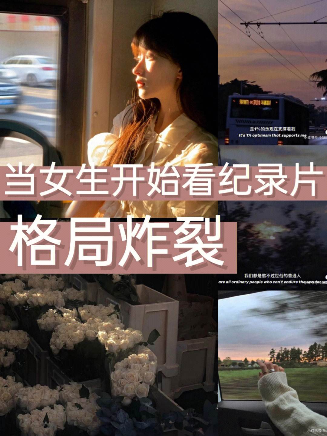 关键比赛中，金鹰特攻神级操作拯救比赛，直播间破纪录(果宝特攻3全集免费)
