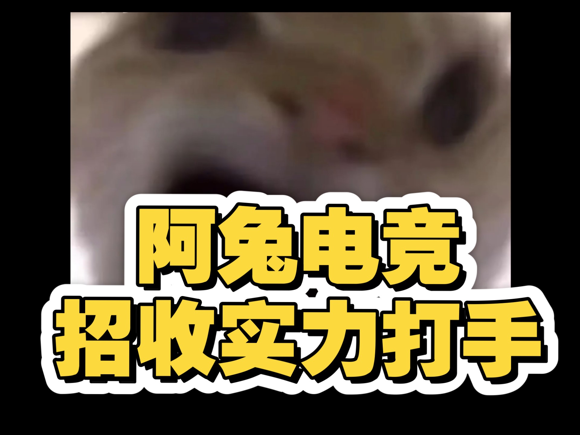 xdd透露三角洲陪玩店一天一万多单，按一单200元计算，一天流水200来万的简单介绍