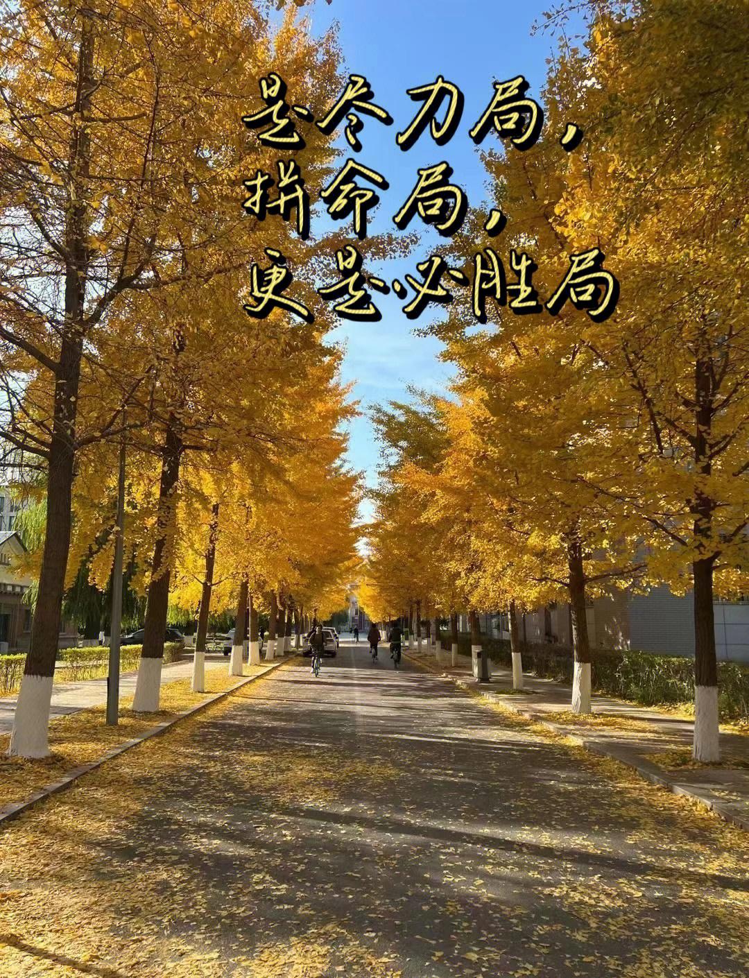 战役开启，双方决心全力以赴(战役决心的话)